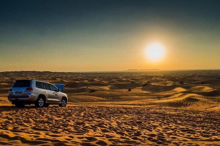 morning desert safari