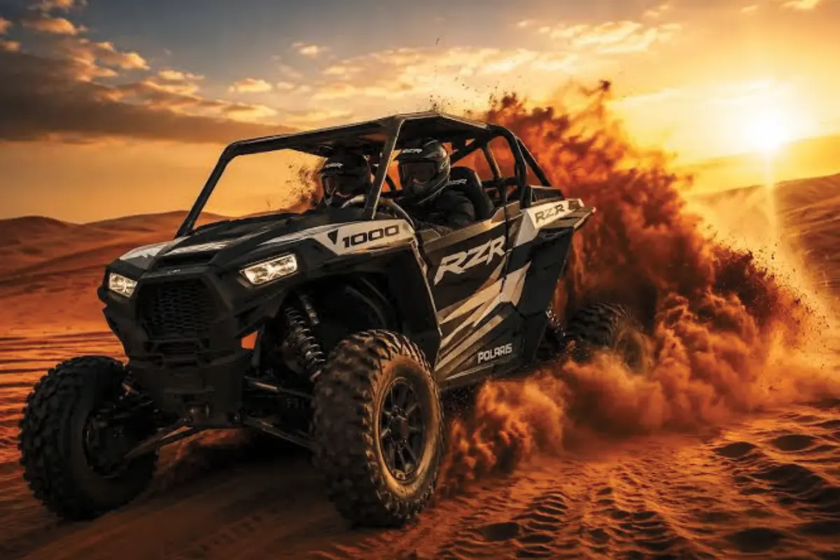 rzr 1000cc 2 seater buggy
